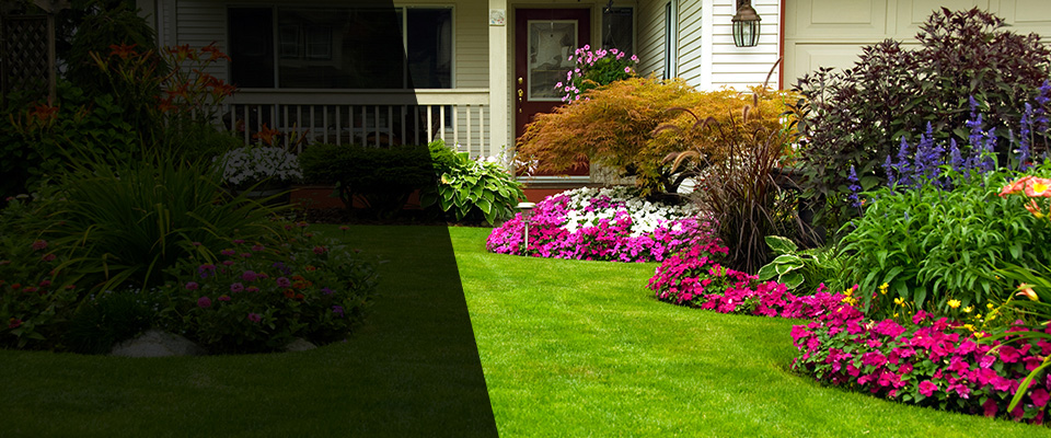 Waverly Landscapers