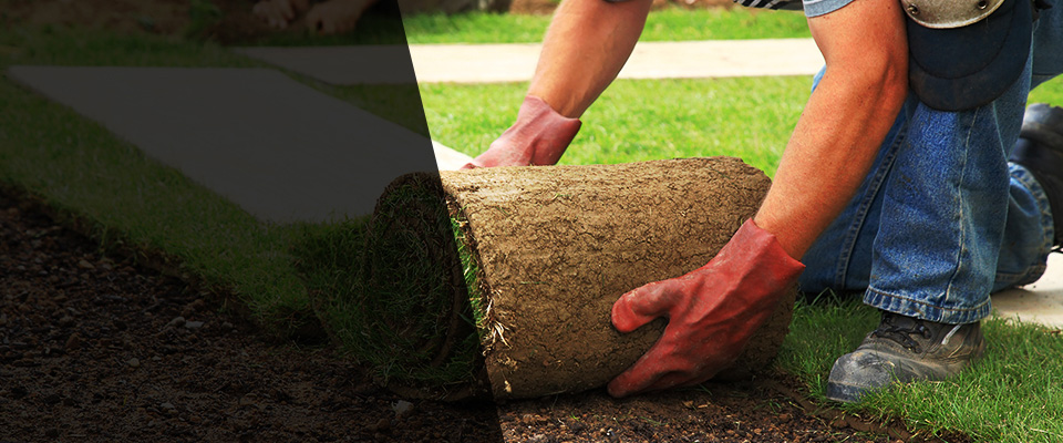 Waverly Landscapers